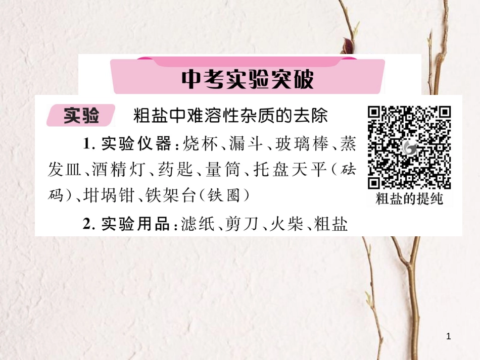 （青海专版）中考化学复习 第1编 教材知识梳理篇 第11单元 盐 化肥中考实验突破（精讲）课件_第1页
