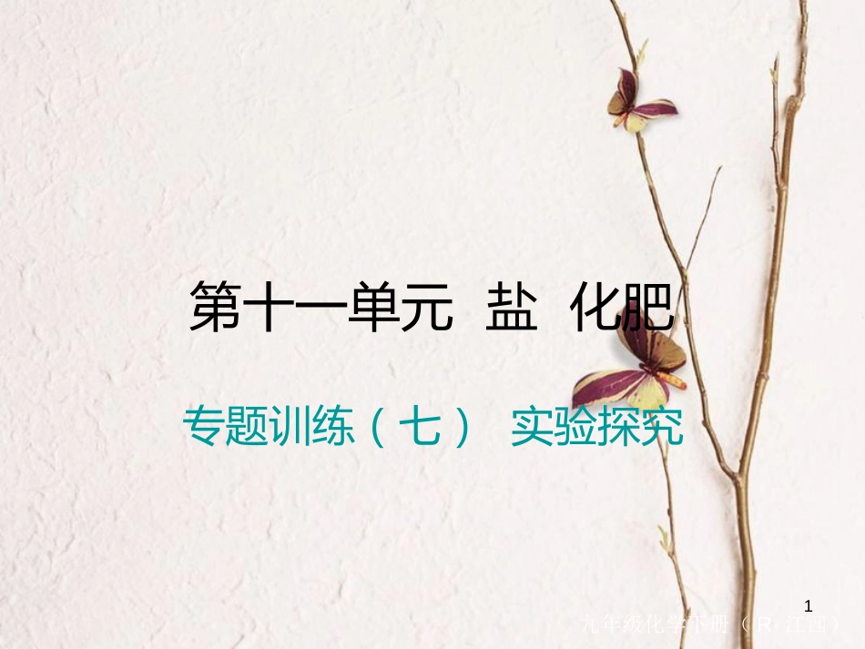 （江西专版）九年级化学下册 第11单元 盐 化肥 专题训练（七）实验探究课件 （新版）新人教版_第1页