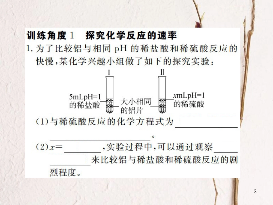 （江西专版）九年级化学下册 第11单元 盐 化肥 专题训练（七）实验探究课件 （新版）新人教版_第3页
