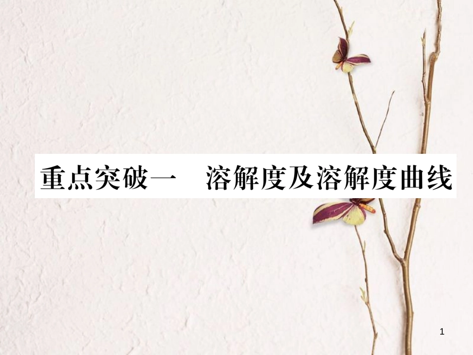 九年级化学下册 第9单元 溶液重点突破一 溶解度及溶解度曲线作业课件 （新版）新人教版_第1页