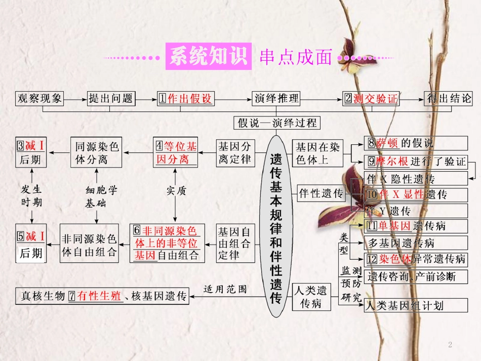 （全国通用）高考生物二轮复习 专题三 遗传 串讲二 遗传规律、伴性遗传 第1课时 基础自查课件_第2页