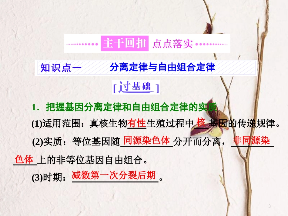 （全国通用）高考生物二轮复习 专题三 遗传 串讲二 遗传规律、伴性遗传 第1课时 基础自查课件_第3页
