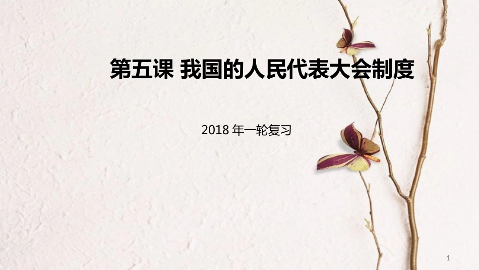 高考政治一轮复习 第三单元 发展社会主义民主政治 第五课 我国的人民代表大会制度课件 新人教版必修2_第1页