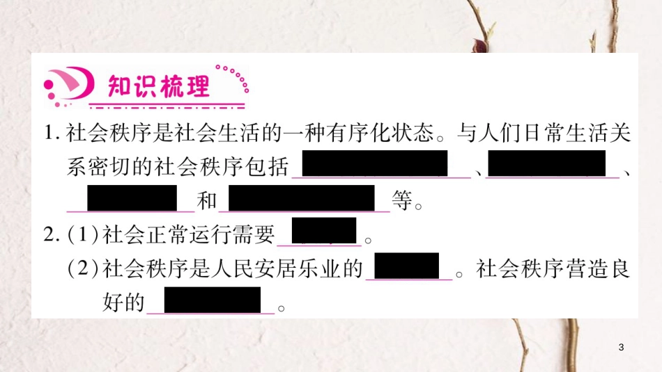 八年级道德与法治上册 第二单元 遵守社会规则 第三课 社会生活离不开规则习题课件 新人教版_第3页