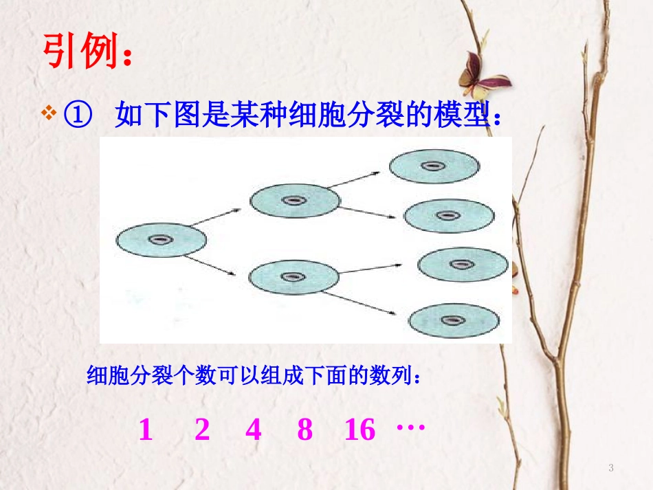 山西省忻州市高考数学专题等比数列1复习课件_第3页