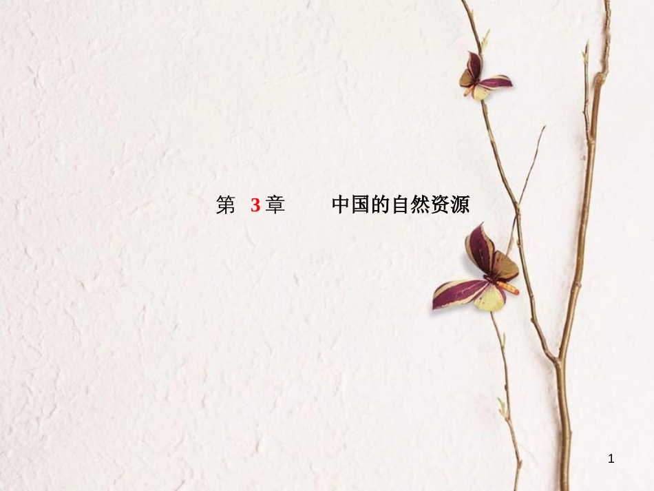 山东省德州市中考地理一轮复习 八上 第3章 中国的自然资源课件_第1页