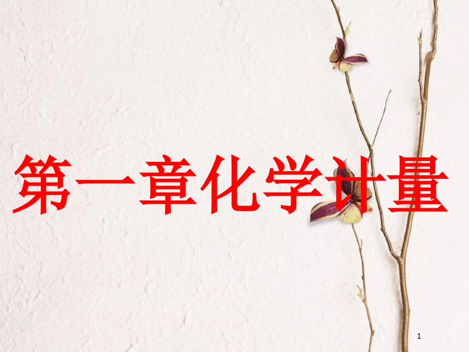 2019版高考化学总复习 第一章 化学常用计量 第一节 物质的量 气体摩尔体积课件_第1页