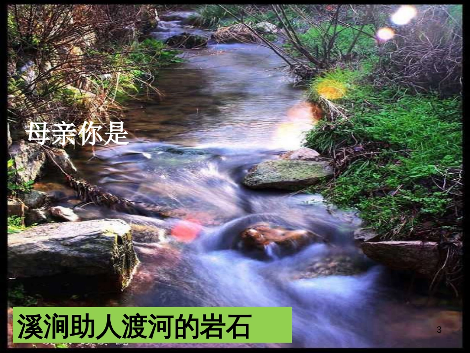 湖南省迎丰镇七年级语文上册第二单元5《秋天的怀念》课件新人教版_第3页