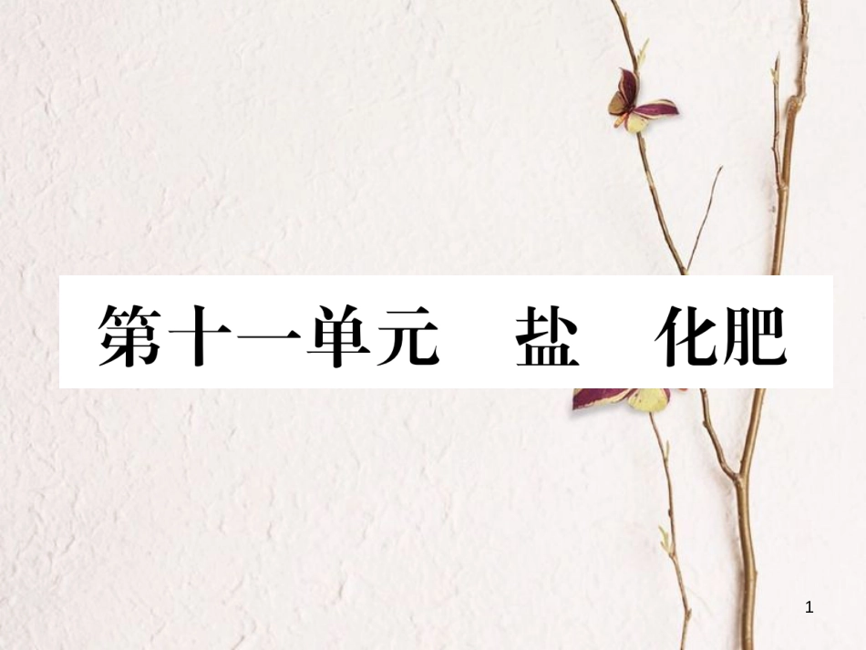 （青海专版）中考化学复习 第1编 教材知识梳理篇 第11单元 盐 化肥（精练）课件_第1页
