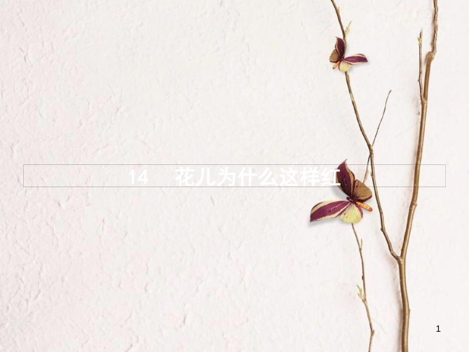 学年八年级语文上册 第四单元 14 花儿为什么这样红课件 语文版_第1页