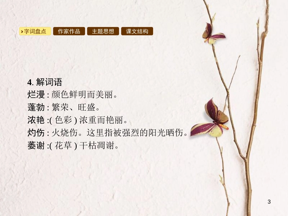 学年八年级语文上册 第四单元 14 花儿为什么这样红课件 语文版_第3页