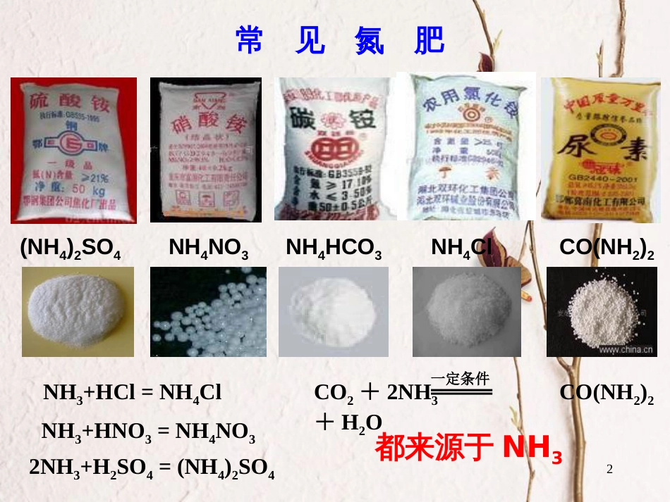 高中化学 专题4 硫、氮和可持续发展 第2单元 生产生活中的含氮化合物——氮肥的生成和使用课件 苏教版必修1_第2页
