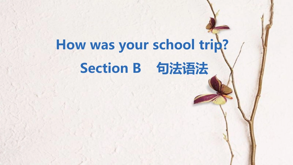 七年级英语下册 Unit 11 How was your school trip Section B句法语法课件 （新版）人教新目标版_第1页