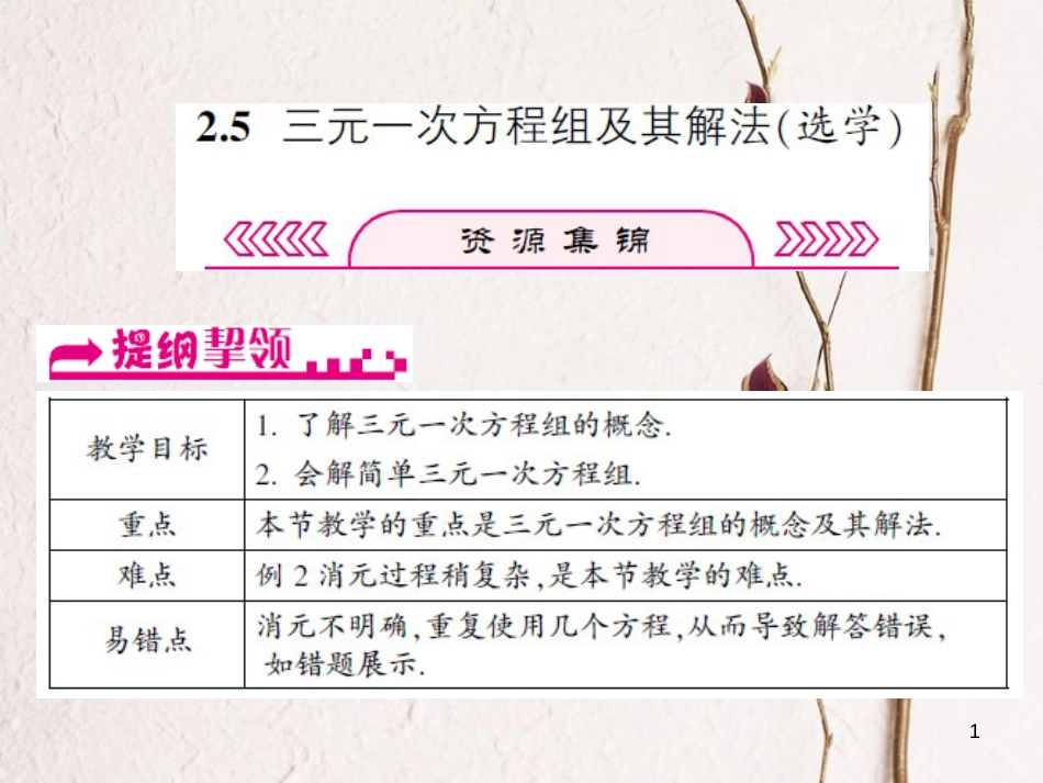 浙江省嘉兴市秀洲区七年级数学下册 第2章 二元一次方程组 2.5 三元一次方程组及其解法（选学）课件 （新版）浙教版_第1页