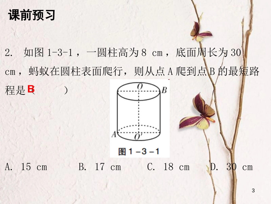 八年级数学上册 第一章 勾股定理 3 勾股定理的应用课件 （新版）北师大版_第3页