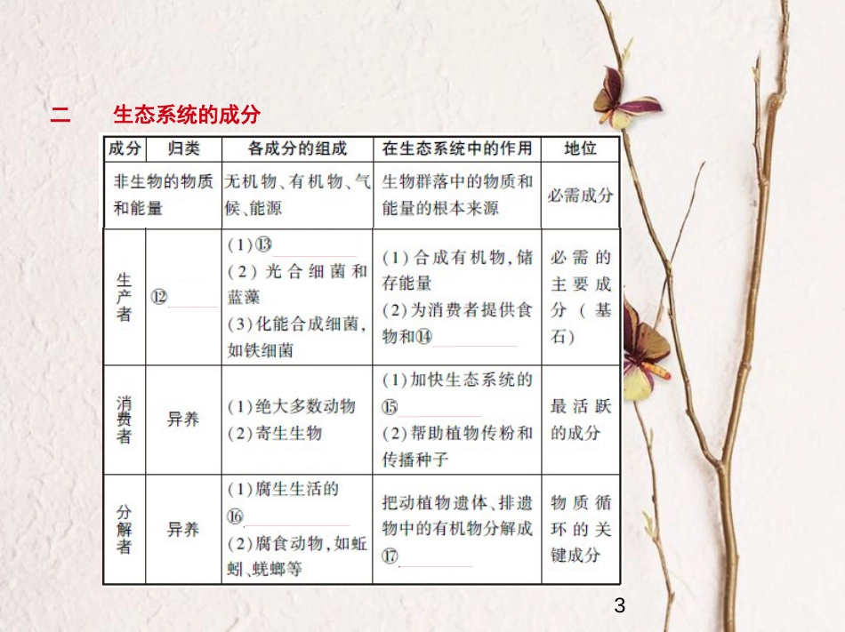 （新课标）2019版高考生物一轮复习 专题23 生态系统及其稳定性课件_第3页
