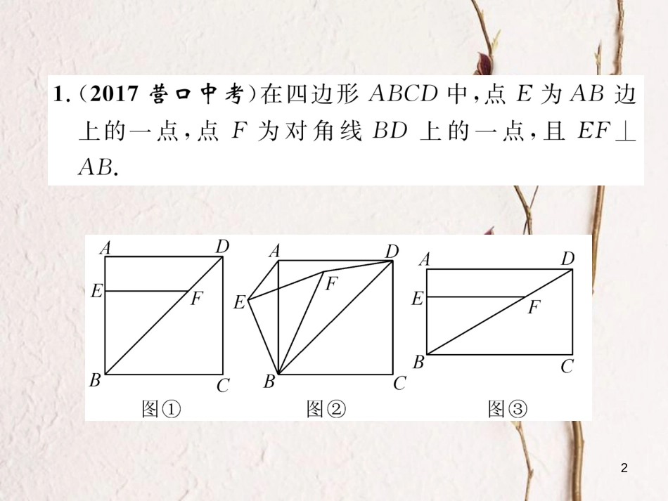 （青海专版）中考数学复习 第2编 专题突破篇 题型6 三角形、四边形综合题（精练）课件_第2页