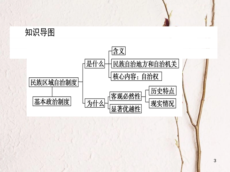 高中政治 3.7.2民族区域自治制度：适合国情的基本政治制度课件 新人教版必修2_第3页