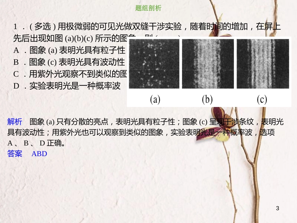 2019版高考物理总复习 第十二章 波粒二象性 原子结构和原子核 12-1-3 考点强化 光的波粒二象性、物质波课件(1)_第3页