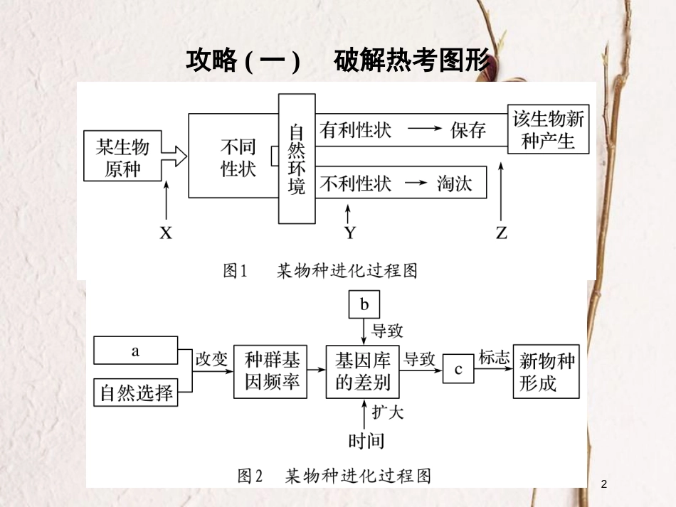 高中生物 第五章 生物的进化章末培优攻略课件 苏教版必修2_第2页