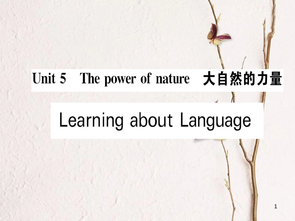 高中英语 Unit 5 The power of nature Learning about Language课件 新人教版选修6_第1页