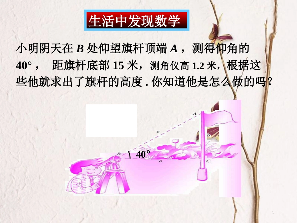 九年级数学下册 第一章 直角三角形的边角关系 1.1《锐角三角函数》课件2 （新版）北师大版_第2页