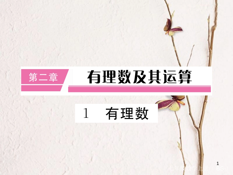 七年级数学上册 2.1 有理数（小册子）课件 （新版）北师大版_第1页