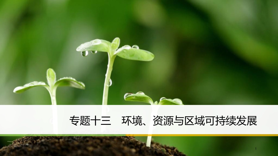 高考地理二轮专题复习 专题十三 环境、资源与区域可持续发展课件 新人教版_第1页
