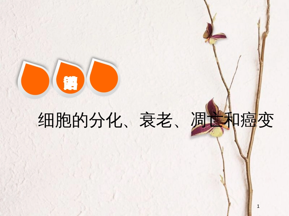 2019版高考生物一轮复习 第四单元 细胞的生命历程 第四讲 细胞的分化、衰老、凋亡和癌变精选课件_第1页
