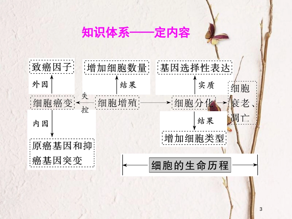 2019版高考生物一轮复习 第四单元 细胞的生命历程 第四讲 细胞的分化、衰老、凋亡和癌变精选课件_第3页