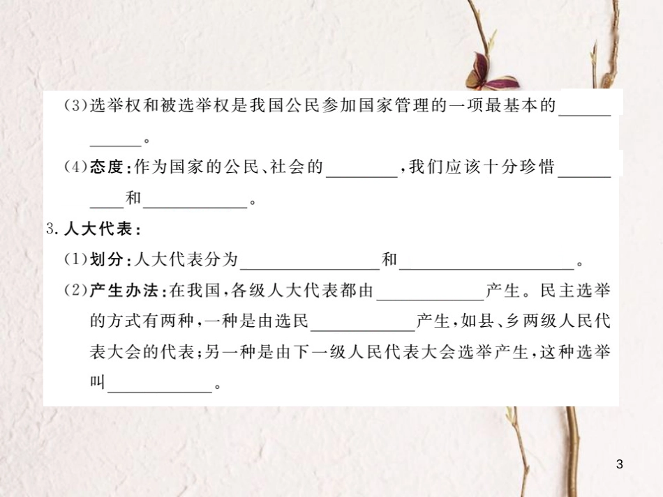 九年级政治全册 第三单元 法治时代 第九课 人民代表的责任 第1框 人大代表人民选课件 人民版_第3页