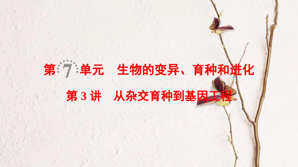 （全国版）2019版高考生物一轮复习 第7单元 生物的变异、育种和进化 第3讲 从杂交育种到基因工程课件_第1页