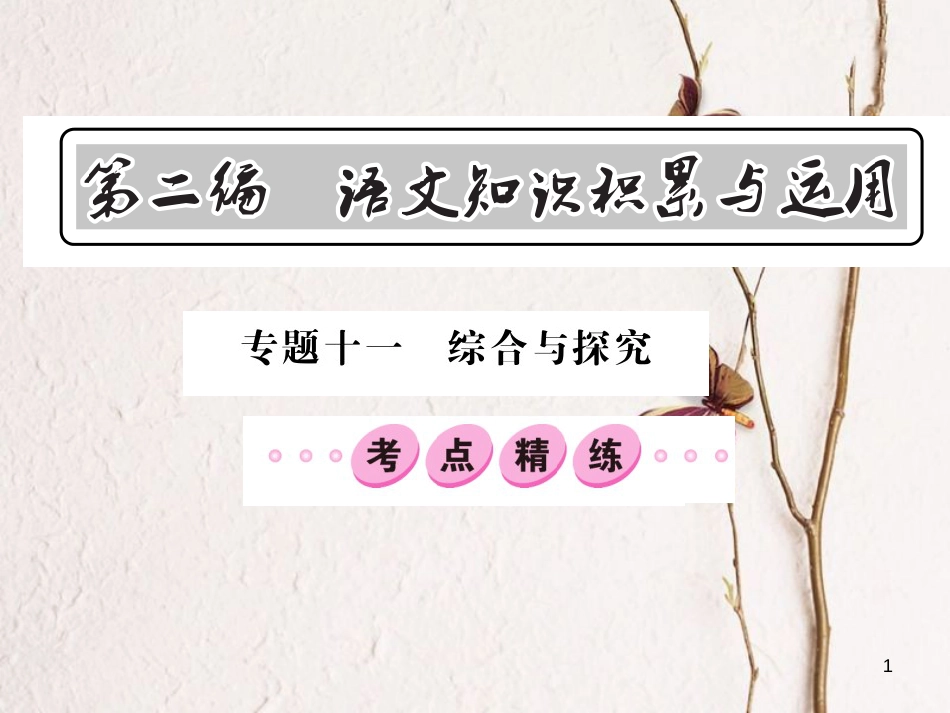 2018中考语文总复习 第2编 语文知识积累与运用 专题十一 综合与探究考点精练2课件 语文版(1)_第1页