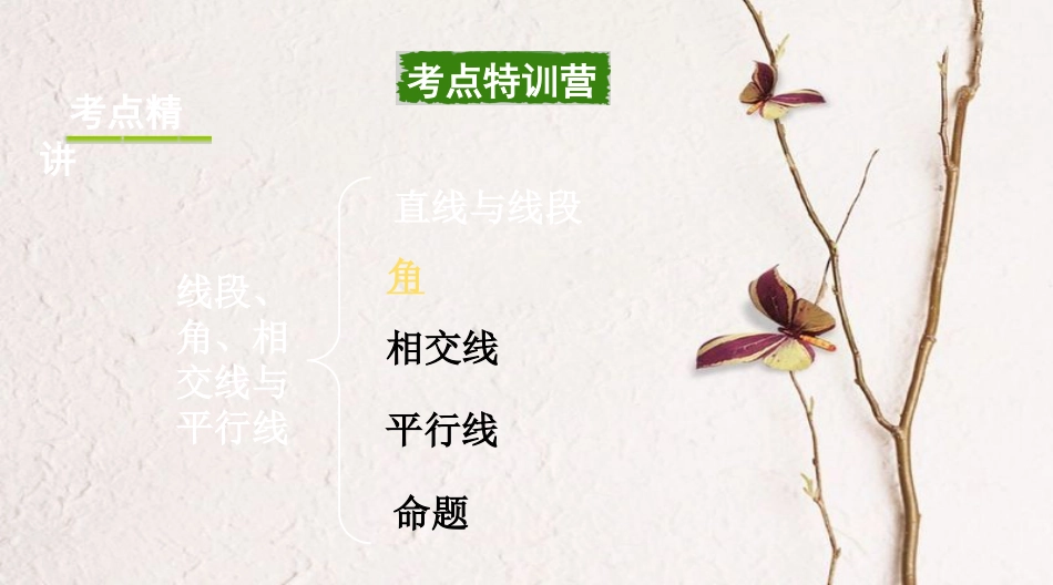 浙江省中考数学复习第一部分考点研究第四单元三角形第16课时线段、角、相交线与平行线课件_第2页