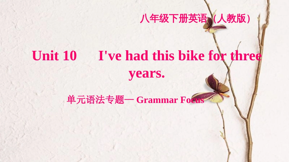 八年级英语下册 Unit 10 I've had this bike for three years语法专题—Grammar Focus习题课件 （新版）人教新目标版_第1页