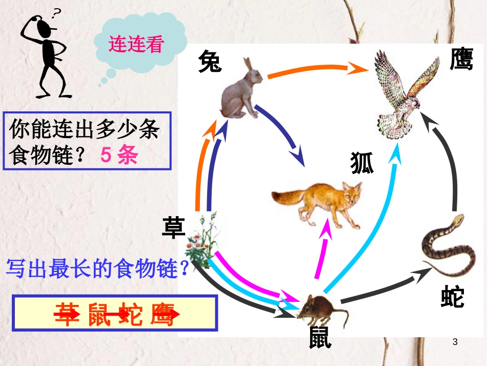 学年七年级生物上册 3.6.2 食物网课件 （新版）苏科版_第3页