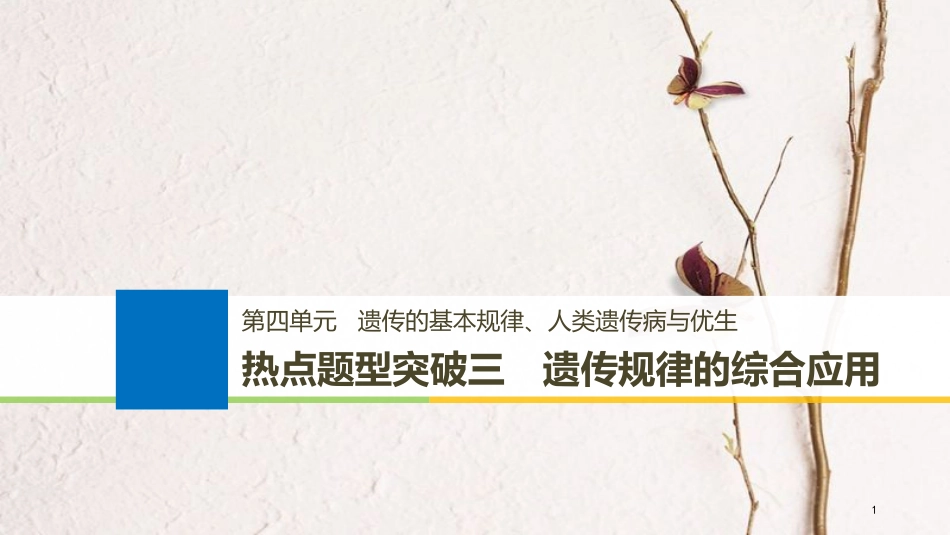（浙江选考）2019版高考生物一轮总复习 第五单元 遗传的分子基础 热点题型突破三 遗传规律的综合应用课件_第1页