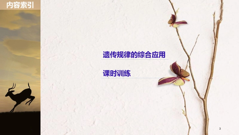 （浙江选考）2019版高考生物一轮总复习 第五单元 遗传的分子基础 热点题型突破三 遗传规律的综合应用课件_第3页