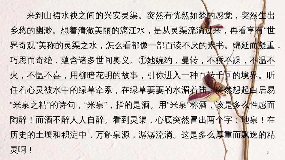高考语文二轮复习 考前三个月 第二章 一文两练 第二篇 地泉之灵 散文阅读课件_第3页