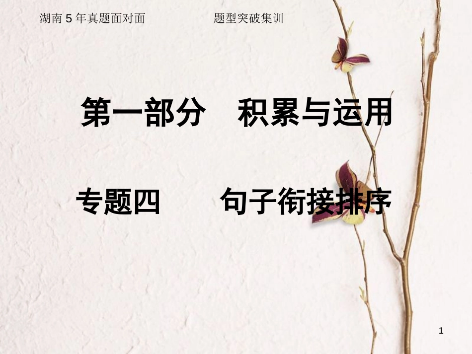 湖南省2018中考语文总复习 第一部分 积累与运用 专题四 句子衔接排序课件_第1页