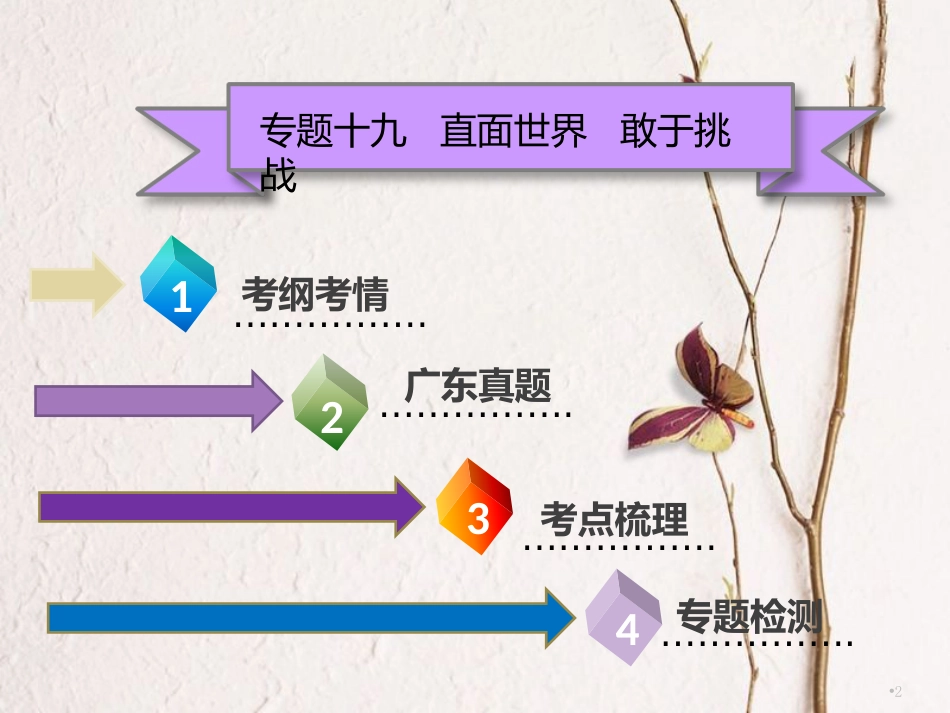 广东省中考政治 第三部分 我与国家和社会 专题十九 直面世界 敢于挑战复习课件_第2页