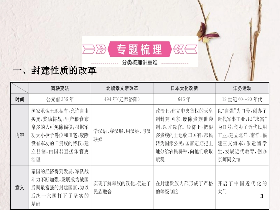 山东省临沂市中考历史复习 专题五 中外历史上的重大改革课件_第3页