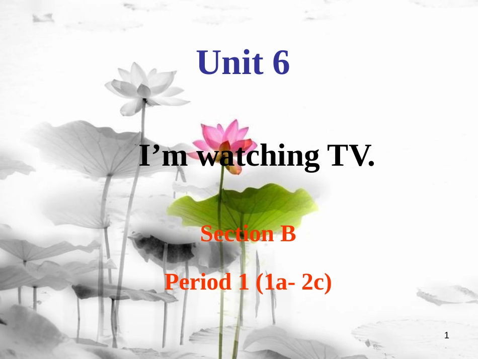 七年级英语下册 Unit 6 I’m watching TV Section B Period 1（1a-2c）课件 （新版）人教新目标版_第1页