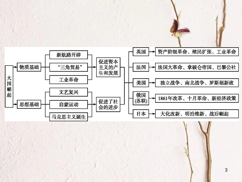 中考历史 单元专题四 大国崛起—美、英、法、日、俄(苏联)的崛起课件_第3页