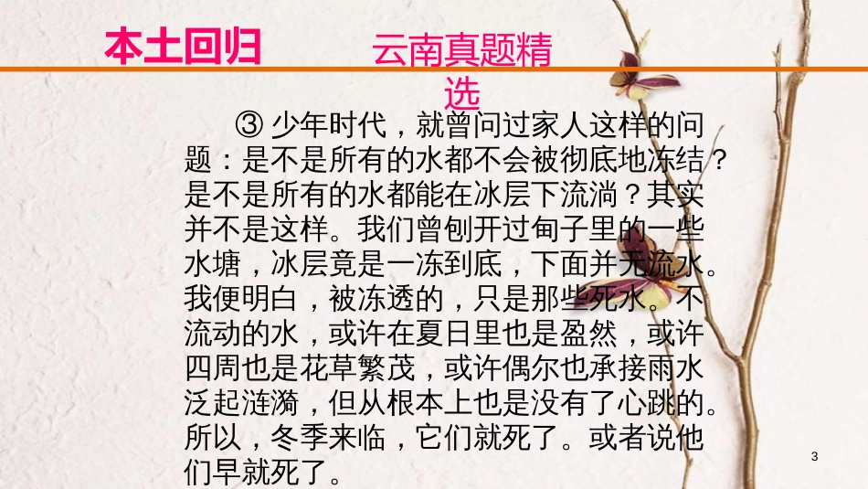 云南省中考语文复习方案 第四部分 现代文阅读 专题三 记叙文阅读课件_第3页