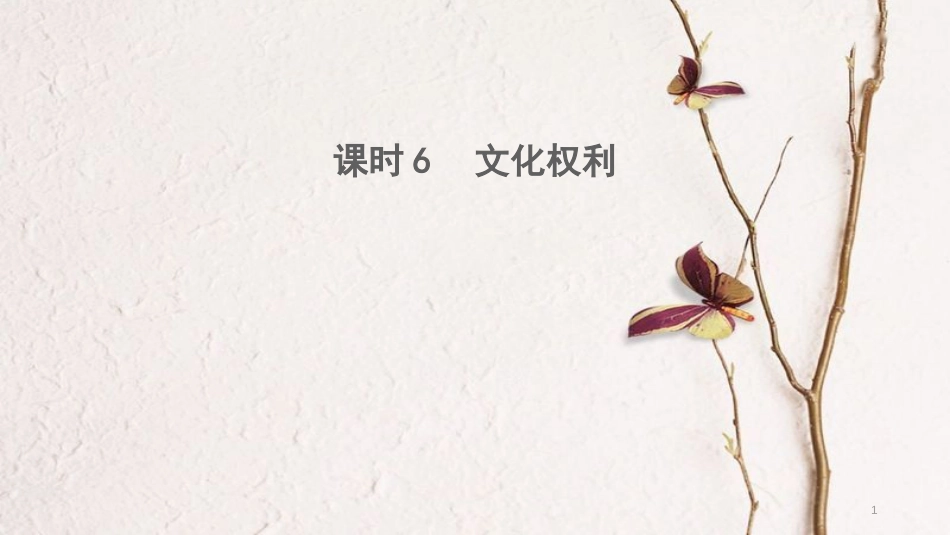 中考政治 课时6 文化权利课件_第1页