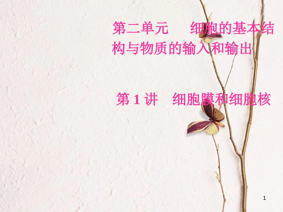 2019版高考生物总复习 第二单元 细胞的基本结构与物质的输入和输出 第1讲 细胞膜和细胞核课件_第1页