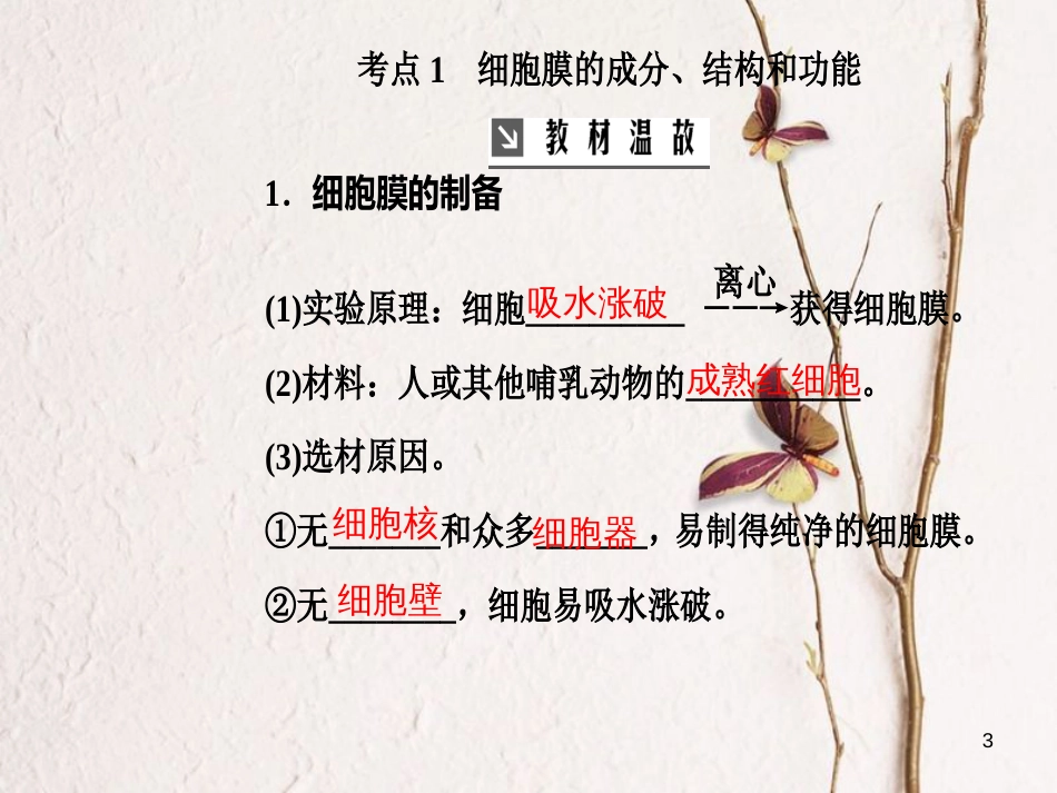 2019版高考生物总复习 第二单元 细胞的基本结构与物质的输入和输出 第1讲 细胞膜和细胞核课件_第3页