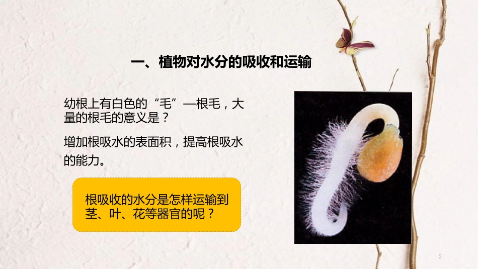 七年级生物上册 第三单元 第三章《绿色植物与生物圈的水循环》教学课件 （新版）新人教版_第2页