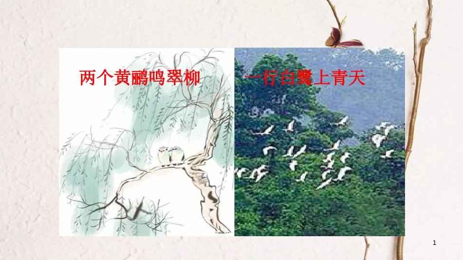 八年级生物上册 第五单元 第三章《动物在生物圈中的作用》课件 （新版）新人教版_第1页